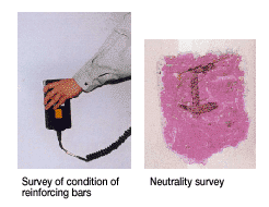 Earthquake resistance diagnosing