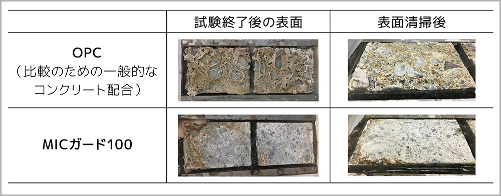 下水道環境での促進試験結果(コンクリート表面)