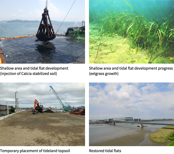 Initiatives to Create and Maintain Marine Environments