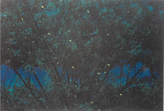 Fireflies emitting light