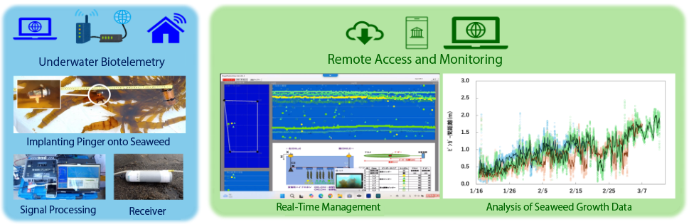 Seaweed Growth Monitoring System