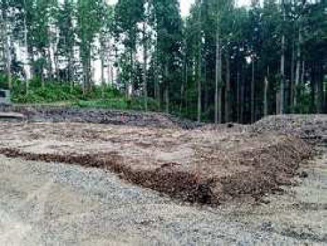 Removed soil was modified with Wattle