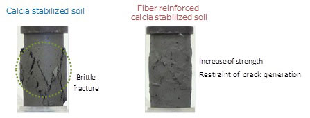 Figure 2 Comparison between calcia stabilized soil and fiber reinforced calcia stabilized soil after unconfined compression test