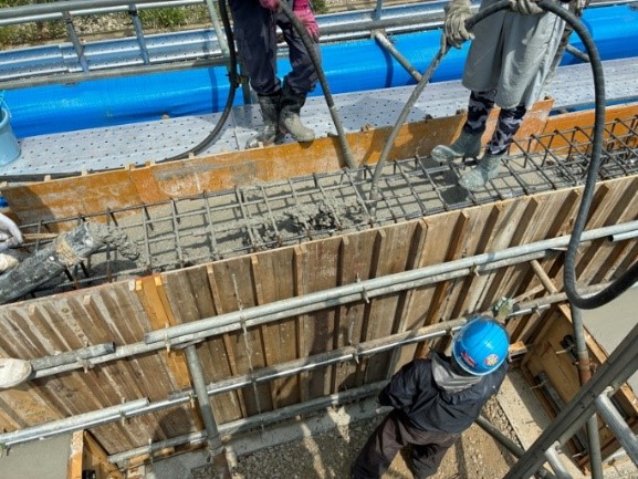 CELBIC-RA�̑ō��ݏ�