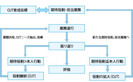 人事制度と能力開発