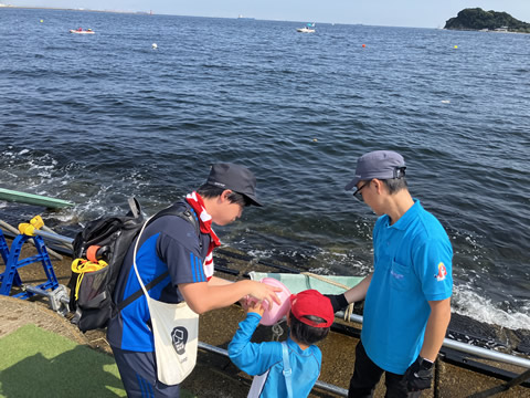 横須賀うみかぜカーニバル2024へ参加