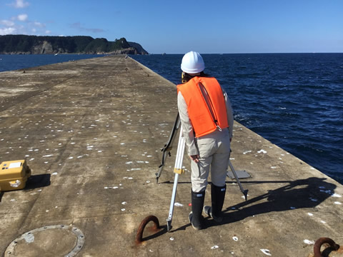 243名の学生(インターンシップ生)を受入